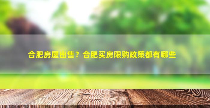 合肥房屋*？合肥买房限购政策都有哪些