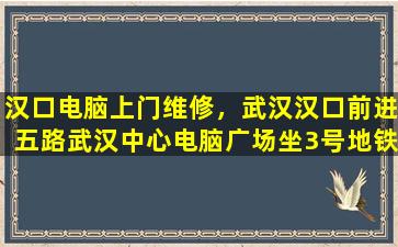 汉口电脑上门维修，武汉汉口前进五路武汉中心电脑广场坐3号地铁导几号线到