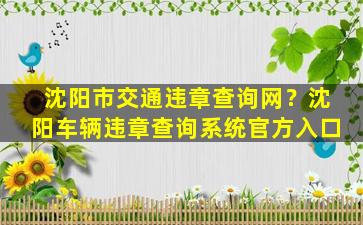 沈阳市交通违章查询网？沈阳车辆违章查询系统官方入口