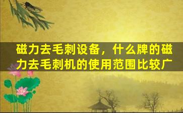 磁力去毛刺设备，什么牌的磁力去毛刺机的使用范围比较广