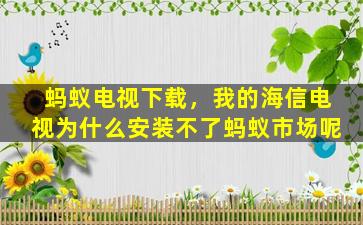 蚂蚁电视下载，我的海信电视为什么安装不了蚂蚁市场呢