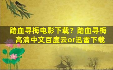 踏血寻梅电影下载？踏血寻梅高清中文百度云or迅雷下载