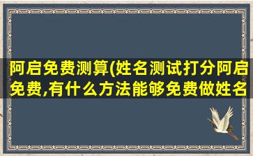 阿启免费测算(姓名测试打分阿启免费,有什么方法能够免费做姓名测试呢)